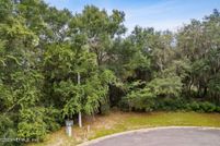 Undeveloped Land for sale in Nassau County, Florida