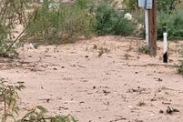 Property for sale in Ward County, Texas