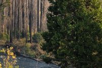 Undeveloped Land for sale in Lane County, Oregon