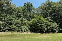 Undeveloped Land for sale in Fayette County, Illinois