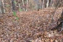 Property for sale in Sevier County, Tennessee