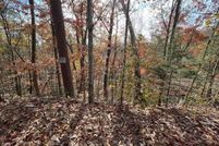 Property for sale in Sevier County, Tennessee