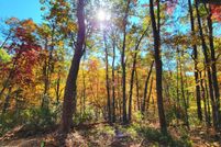 Property for sale in Sevier County, Tennessee