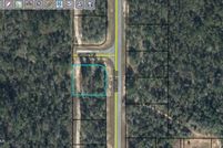Undeveloped Land for sale in Washington County, Florida