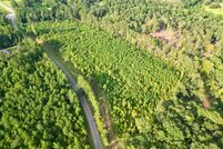 Undeveloped Land for sale in Clarke County, Alabama