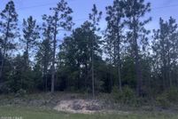 Undeveloped Land for sale in Washington County, Florida