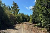 Undeveloped Land for sale in Waldo County, Maine
