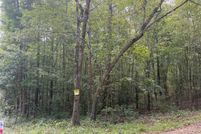 Undeveloped Land for sale in Autauga County, Alabama