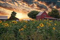 Property for sale in Delta County, Colorado