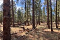Undeveloped Land for sale in Apache County, Arizona