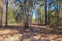 Property for sale in Calhoun County, Florida