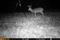 Property for sale in Adair County, Kentucky