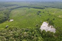 Undeveloped Land for sale in Greene County, Mississippi