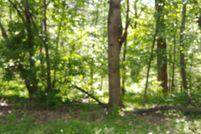 Farm Property for sale in Roanoke County, Virginia