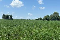 Farm Property for sale in Dunklin County, Missouri