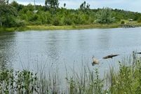 Undeveloped Land for sale in Cheboygan County, Michigan