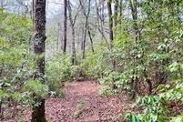 Undeveloped Land for sale in Union County, Georgia