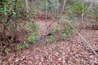 Undeveloped Land for sale in Rutherford County, North Carolina