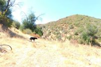 Property for sale in San Luis Obispo County, California