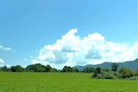 Undeveloped Land for sale in Pike County, Kentucky