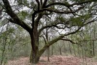 Property for sale in Baldwin County, Alabama