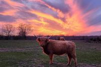 Property for sale in Hunt County, Texas