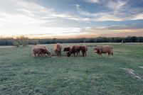 Property for sale in Hunt County, Texas