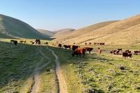 Undeveloped Land for sale in Kern County, California