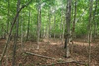 Property for sale in Appomattox County, Virginia