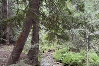 Property for sale in Pend Oreille County, Washington