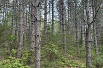 Property for sale in Cook County, Minnesota