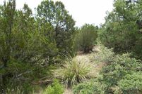 Undeveloped Land for sale in Grant County, New Mexico