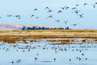 Property for sale in Solano County, California