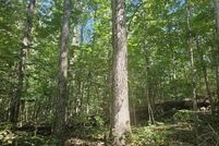 Property for sale in Winston County, Alabama