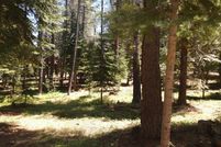 Undeveloped Land for sale in Nevada County, California