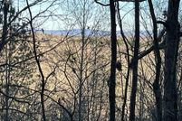 Undeveloped Land for sale in McMinn County, Tennessee