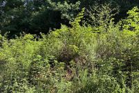 Property for sale in Roane County, Tennessee