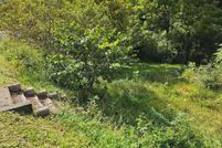 Undeveloped Land for sale in Wise County, Virginia