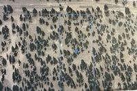 Property for sale in Modoc County, California