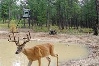 Undeveloped Land for sale in Sanders County, Montana