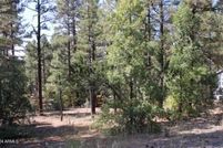 Property for sale in Navajo County, Arizona