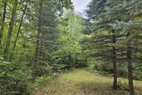 Undeveloped Land for sale in Gladwin County, Michigan