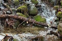 Undeveloped Land for sale in Orange County, New York