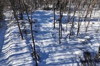 Property for sale in Oxford County, Maine