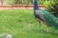 Property for sale in Citrus County, Florida