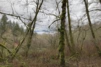 Property for sale in Clark County, Washington
