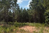 Undeveloped Land for sale in Chilton County, Alabama