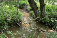 Undeveloped Land for sale in Fannin County, Georgia