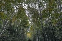 Undeveloped Land for sale in Washington County, Maine