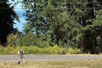 Undeveloped Land for sale in Skagit County, Washington